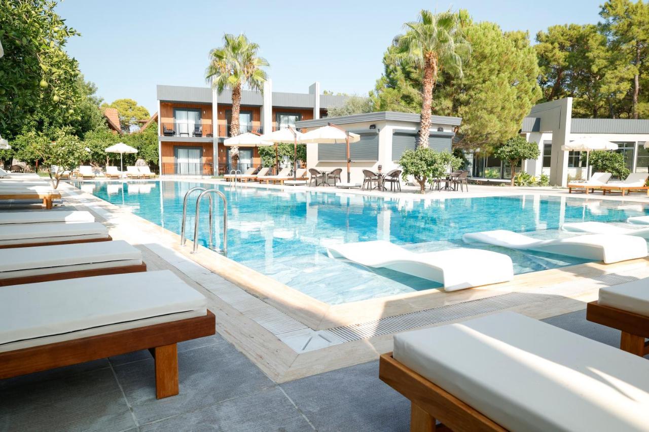 Forest In Hotel Kemer Kültér fotó